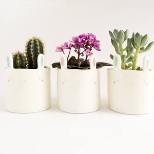 Sweet Bunny Planter Pot for Succulent, Cactus or Flower. Desk Planter Gift. Ceramic Handmade in Italy. image 2