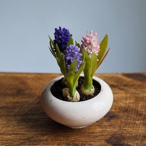 May include: A small, white ceramic pot with three hyacinth plants. The flowers are purple, lavender, and pink, with green leaves. The pot sits on a wooden surface against a light blue background. The hyacinths are in full bloom.