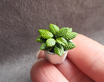 Green PLANT in a pot, scale 1:12 – dollhouse, miniatures, garden, greenhouse, fimo, potted plant