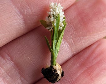 Giacinto in miniatura in scala 1:12, un singolo fiore in fimo realizzato da IGMA Artisan