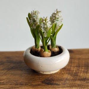 May include: A small, round, white ceramic pot with three white hyacinth flowers. The flowers have green leaves and are planted in dark soil. The pot sits on a wooden surface.