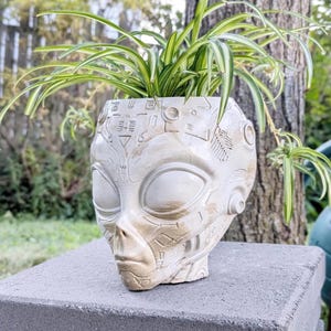 May include: A beige and off-white ceramic planter shaped like an alien head with intricate mechanical and geometric engravings across the surface. A spider plant with long, thin, green and white variegated leaves grows out of the top opening.