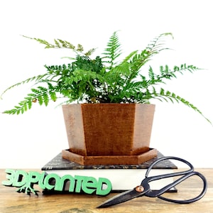 3D Printed wood geometric plant pot and saucer. Modern organic wood decor - great for cacti and succulents, or as a flower vase. Gift idea!