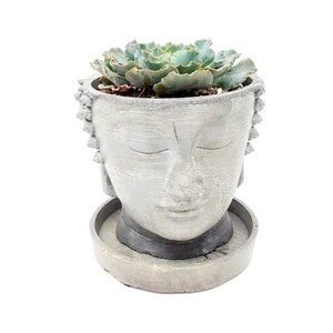 May include: A gray concrete planter shaped like a Buddha's head with a succulent plant growing inside.