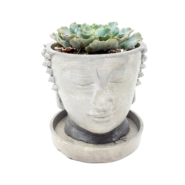 Buddha Head Pot from Concrete Indoor Outdoor Spiritual Flower Plant Container Meditation Sculpture Peaceful Thai Zen Planter Yogi Gift Idea