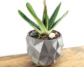 Concrete Planter Geometric Triangles - Modern Decor - Indoor Outdoor Planter - Succulent Cactus Planter Candle Holder - Gardening Gift Idea