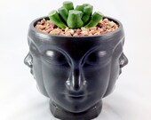 3D Printed Multi head plant pot and saucer. Modern stylish planter decor - great for cacti and succulents, or as a flower pot. Gift idea