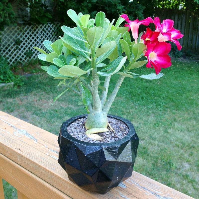 Green and Black Marbling Marbled Concrete Planter Geometric Indoor  Outdoor Plant Pot