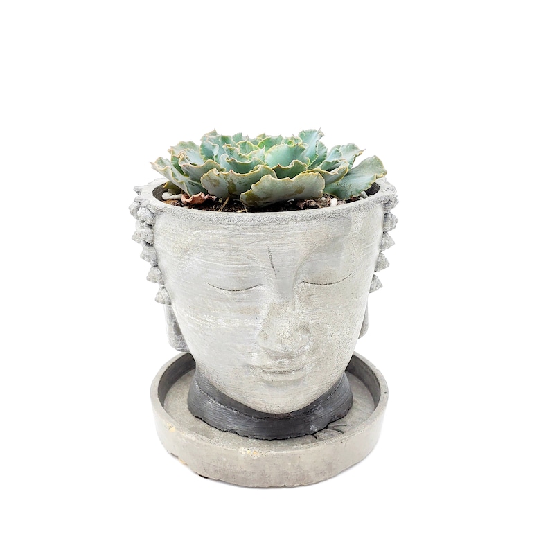 Concrete Buddha head planter Gray Indoor outdoor cement face Etsy
