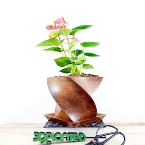 May include: A pink Anthurium plant in a brown, twisted, wooden planter. The planter has a square base and a square top. The plant is sitting on a stack of books with the word "3DPlanted" in green letters on the top book.