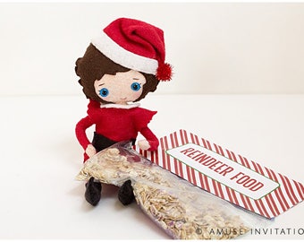 Reindeer Food, Fun Christmas Project, Christmas Elf Accessories, Santa's Elf Prop, Elf Printable, Christmas Elf Ideas, Easy Elf Ideas