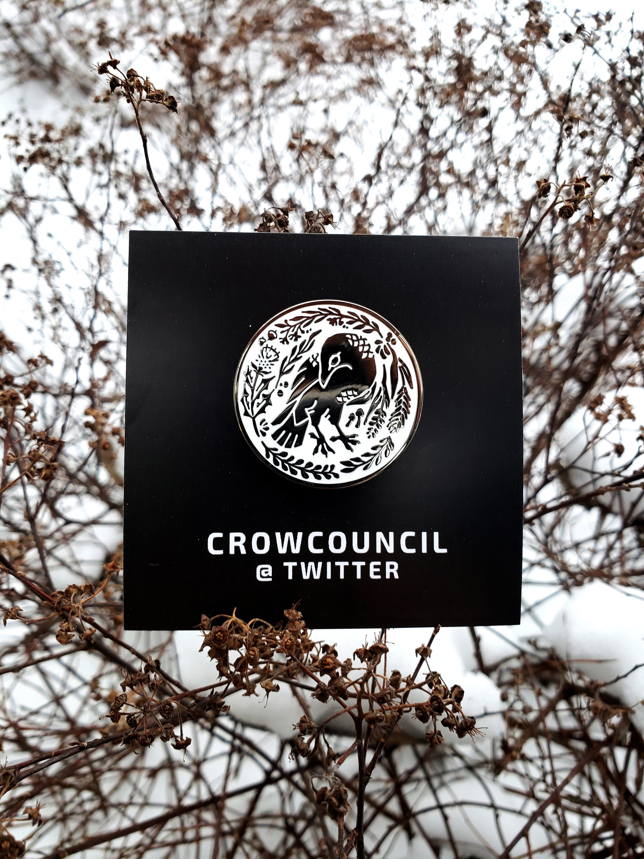 Treasure Crow Enamel Pin - Etsy Israel