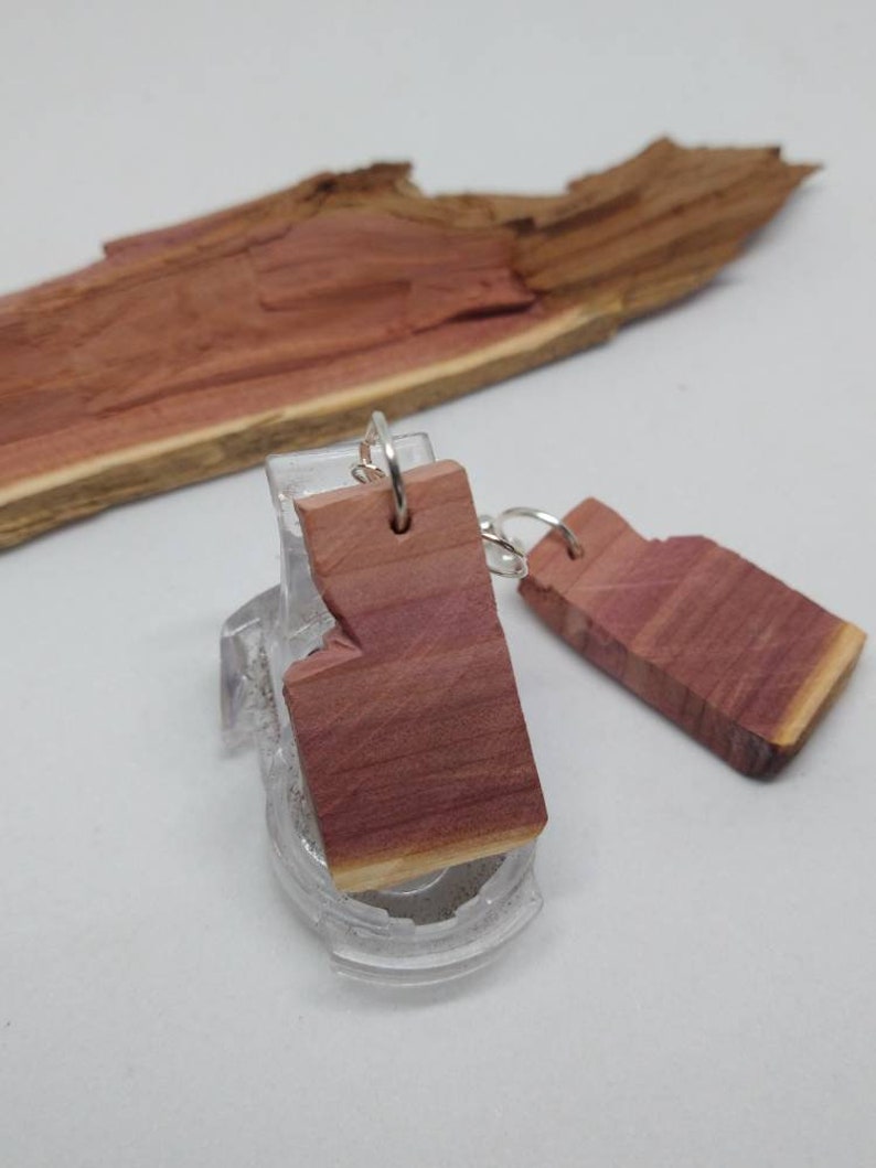 April Cedar earrings made out of real cedar wood with aromatic smell. handmade unique one of a kind. Embrace nature be natural image 2