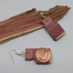 April Cedar earrings made out of real cedar wood with aromatic smell. handmade unique one of a kind. Embrace nature be natural image 4