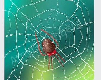 Spider web fall artwork illustration print