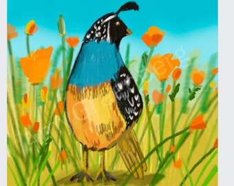 California quail artwork illustration print