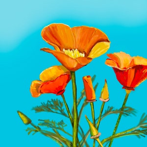 California Poppies flower art print