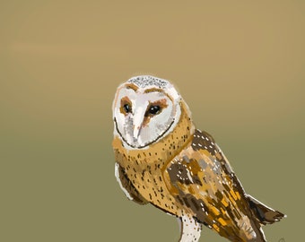 Barn owl artwork gilcee print