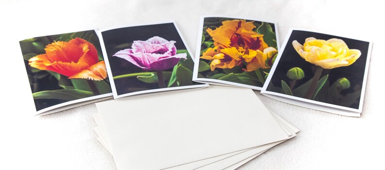 Tulip Note Cards