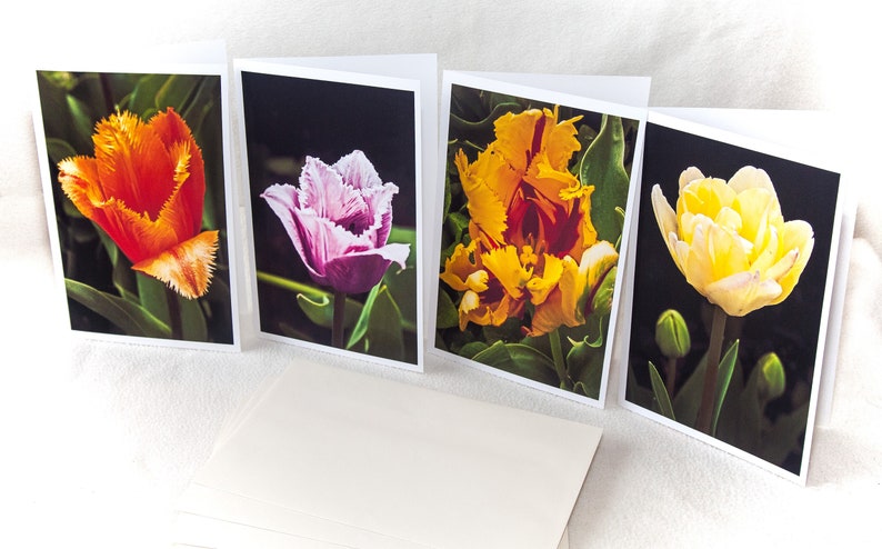 Tulip Note Cards