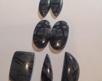 May include: A set of six black and grey gemstone cabochons in various shapes, including oval, teardrop, and rectangular. The stones have a unique pattern of black veins running through them.