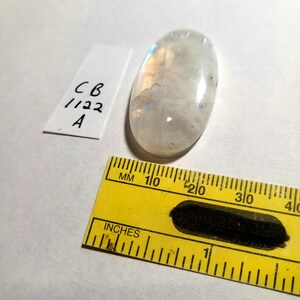 May include: A white oval moonstone cabochon with a slight rainbow sheen. The stone is approximately 1 inch long and 1/2 inch wide. The stone is sitting on a white surface next to a ruler.