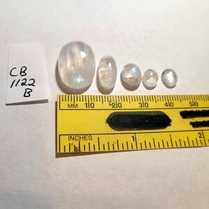 May include: Five iridescent moonstone cabochons of varying sizes, ranging from approximately 1 inch to 1/2 inch in diameter, are lined up on a white surface next to a yellow ruler marked in inches and millimeters. The ruler is marked from 0 to 2 inches and 0 to 50 millimeters.