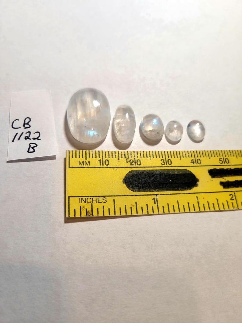 May include: Five iridescent moonstone cabochons of varying sizes, ranging from approximately 1 inch to 1/2 inch in diameter, are lined up on a white surface next to a yellow ruler marked in inches and millimeters. The ruler is marked from 0 to 2 inches and 0 to 50 millimeters.