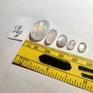 May include: Five white moonstone cabochons of varying sizes, measured in inches on a yellow ruler. The largest cabochon is approximately 1 inch long.