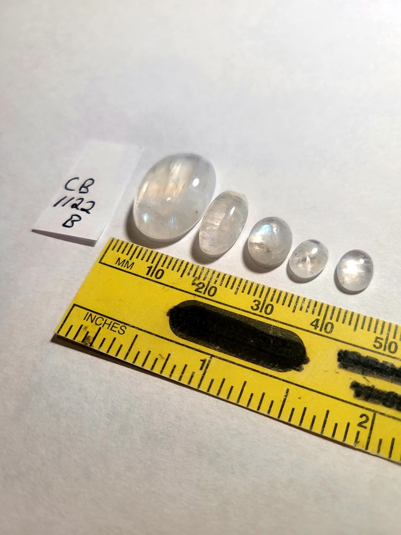 May include: Five white moonstone cabochons of varying sizes, measured in inches on a yellow ruler. The largest cabochon is approximately 1 inch long.
