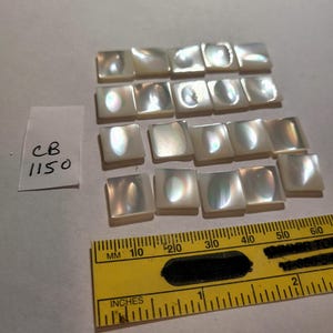 May include: A collection of 18 white mother of pearl tiles, each measuring approximately 1 inch square. The tiles are arranged in three rows of six, with a ruler in the bottom right corner for scale.