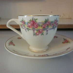 Wedgwood &quot;HIawatha&quot; teacup and saucer vintage Wedgwood cup and saucer vintage teacup made in England