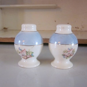 Könnte beinhalten: Ein Paar vintage Salz- und Pfefferstreuer mit einem blauen und weißen Blumenmuster. Die Streuer sind aus Keramik und haben einen goldenen Rand.