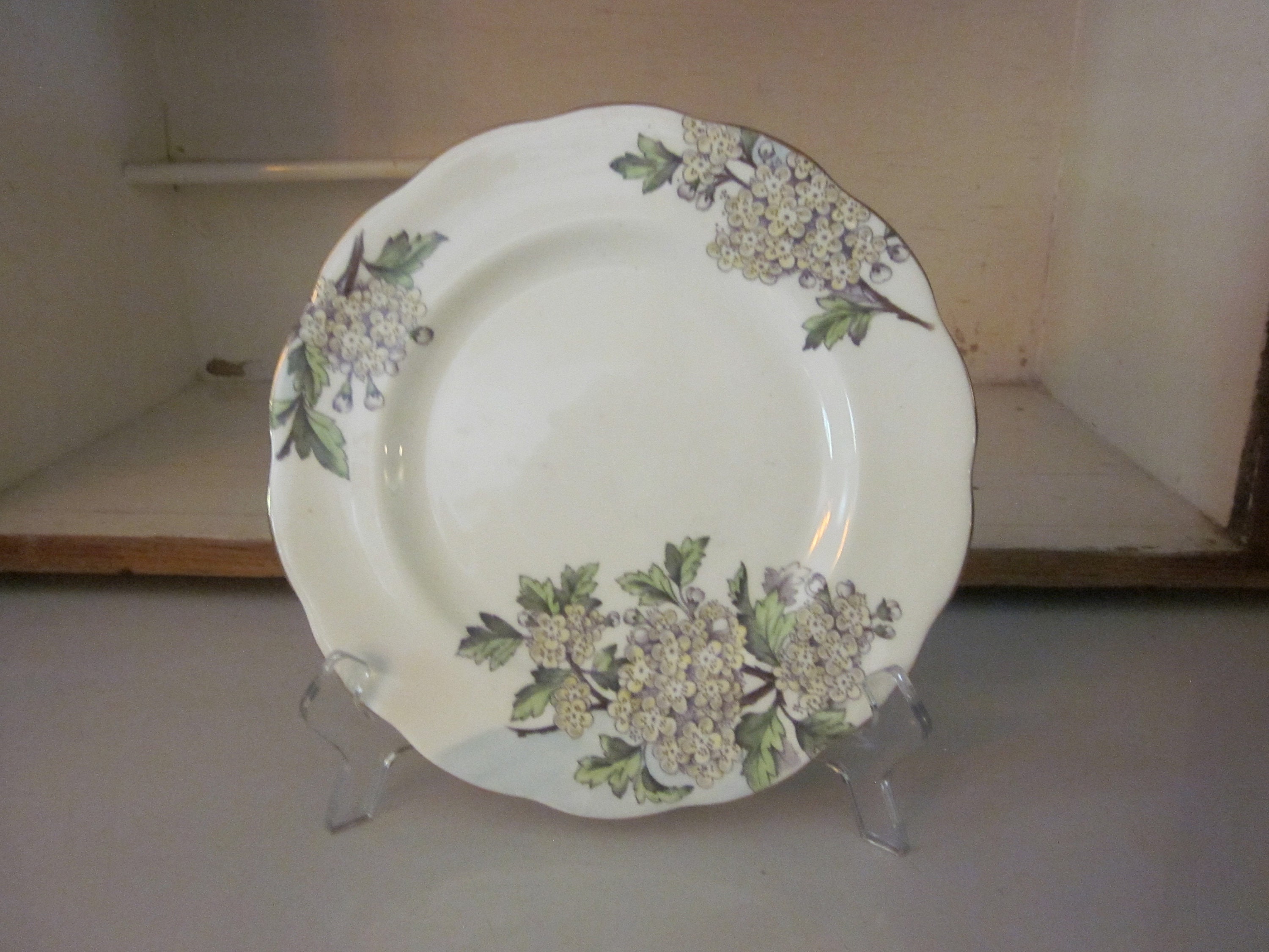 Royal Albert Flower of the Month Hawthorn luncheon salad plate #5 May birthday gift English bone china 8 inch floral plate