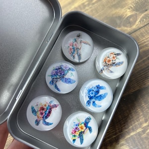 Sea turtle magnets, Set of 6 Glass Magnets in Metal Tin - 1 Inch Decorative Fridge Magnets - Gift for Teachers, Office, Kitchen, Locker