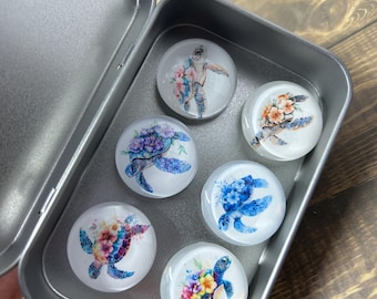 Sea Turtle Glass Magnets, Floral Decor, Set of 6 in Metal Tin