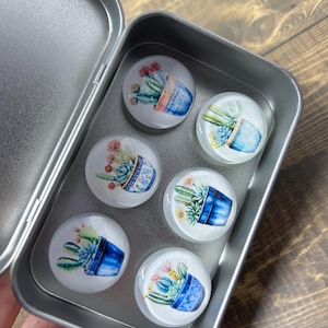 Cactus magnets, Set of 6 Glass Magnets in Metal Tin - 1 Inch Decorative Fridge Magnets - Gift for Teachers, Office, Kitchen, Locker