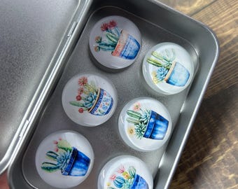 Cactus Magnets, Glass Cabochon Refrigerator Magnets, Set of 6
