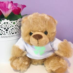 Candy Bear Psersonalised Cuddly Good Luck Bear/Four Leaf Clover/Exams/Best of Luck/Good Luck Wishes/Driving Test