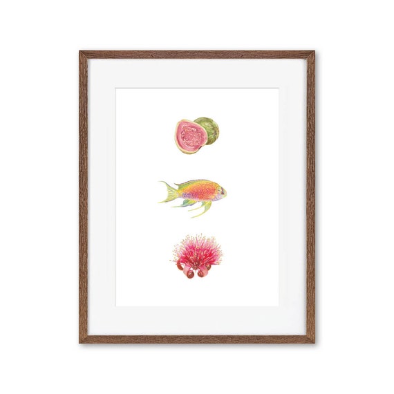 Pinks 16x20 Print / Made in Hawaii - Etsy