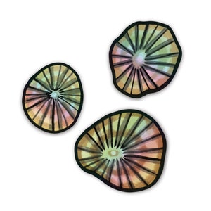 Opihi Stickers / Pack of 3