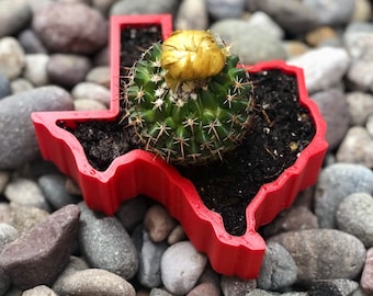 Texas Shaped Planter; Texas Gift; Cactus Planter; Texas Planter; Hometown Pride Gift; Succulent Planter; 3D Printed Planter