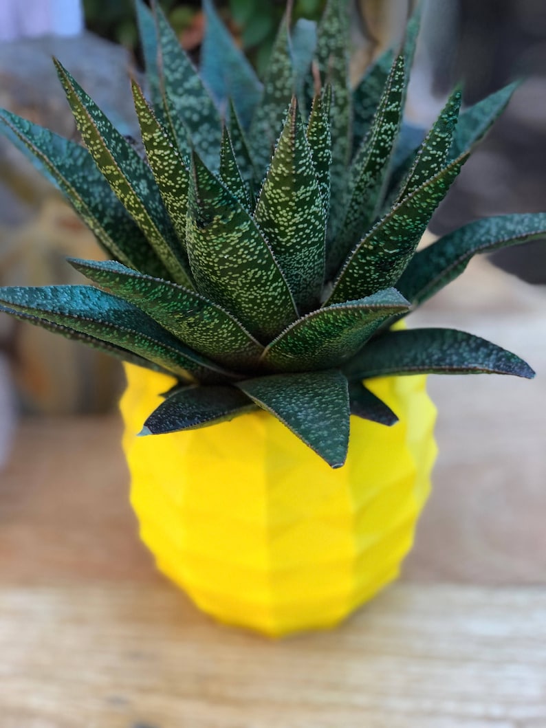 Pineapple Succulent Planter Unique Planter Geometric Etsy Sweden