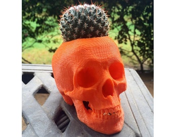 Skull Planter, Skull Succulent Planter, Halloween Skull Planter, Realistic Skull Decor, Gothic Home Decor, Gothic Planter (High-Res)