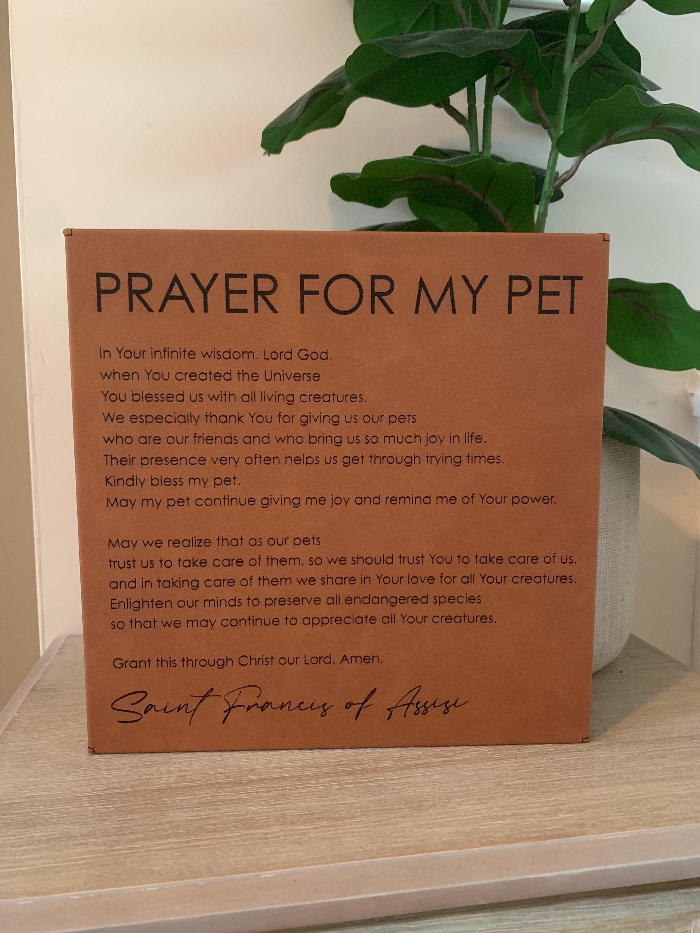 Prayer for My Pet Saint Francis of Assisi Gift for Dog Etsy