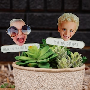 Può includere: Una piccola pianta grassa in un vaso di ceramica bianco con un motivo a cuore. Due foto di bambini sono attaccate alla pianta con cartelli che recitano "Grazie per il tuo aiuto" e "Ti voglio bene nonna!"