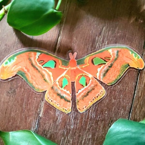 Oranje Vlinder Stickers -Atlas Moth - Mooie Stickers voor accessoires - Laptop Sticker - Kerstcadeau Ideeën