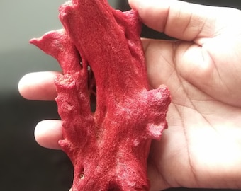 1130ct Large NATURAL RED CORAL rough/specimen Single Stone