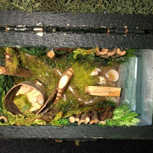 Könnte beinhalten: Eine kleine Holzkiste mit einem durchsichtigen Deckel, die eine Miniatur-Waldszene mit Moos, Zweigen und einem kleinen Holzeimer enthält. Die Szene ist mit einem klaren Harz gefüllt, das ihr ein glasartiges Aussehen verleiht.