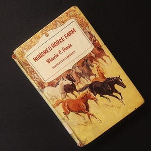 Hundred Horse Farm Blanche C Perrin equestrian teen vintage book training 1973